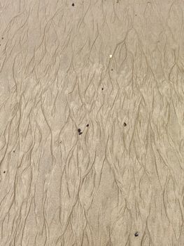 Close-up of textured sand patterns with small shells on Aveiro Beach, Portugal.
