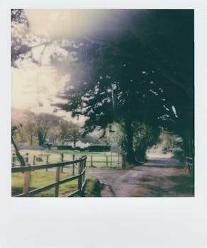 老式宝丽相机拍摄下一条宁静的乡村道路，两旁树木成行，栅栏相伴