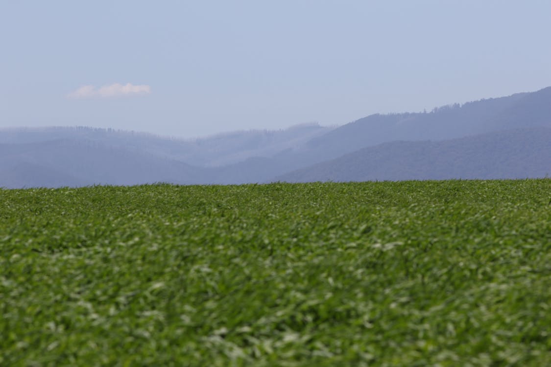 free-stock-photo-of-crops-fields-mountains