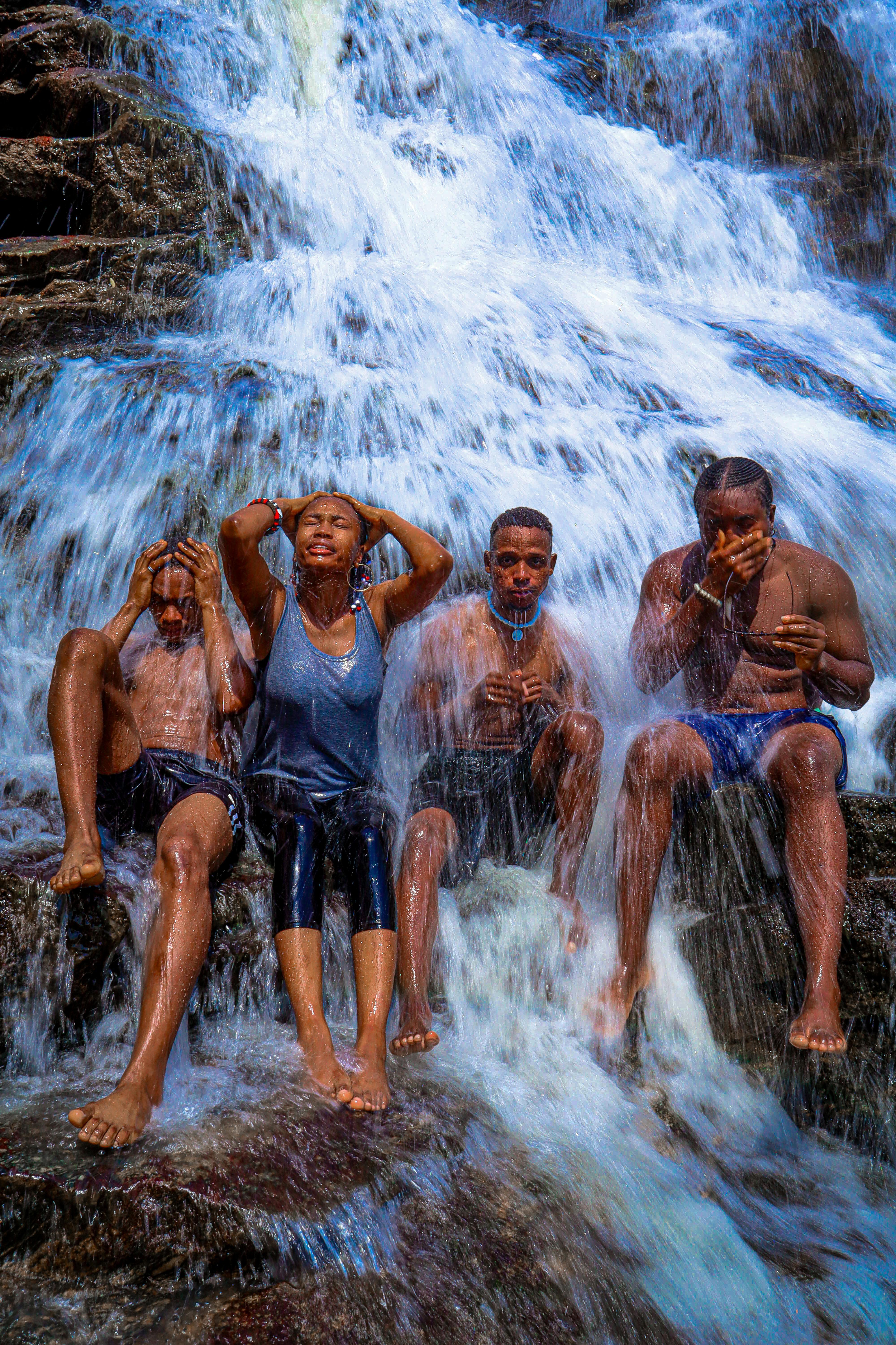 Do Wet Noses Indicate Health in Dogs? Exploring the Connection