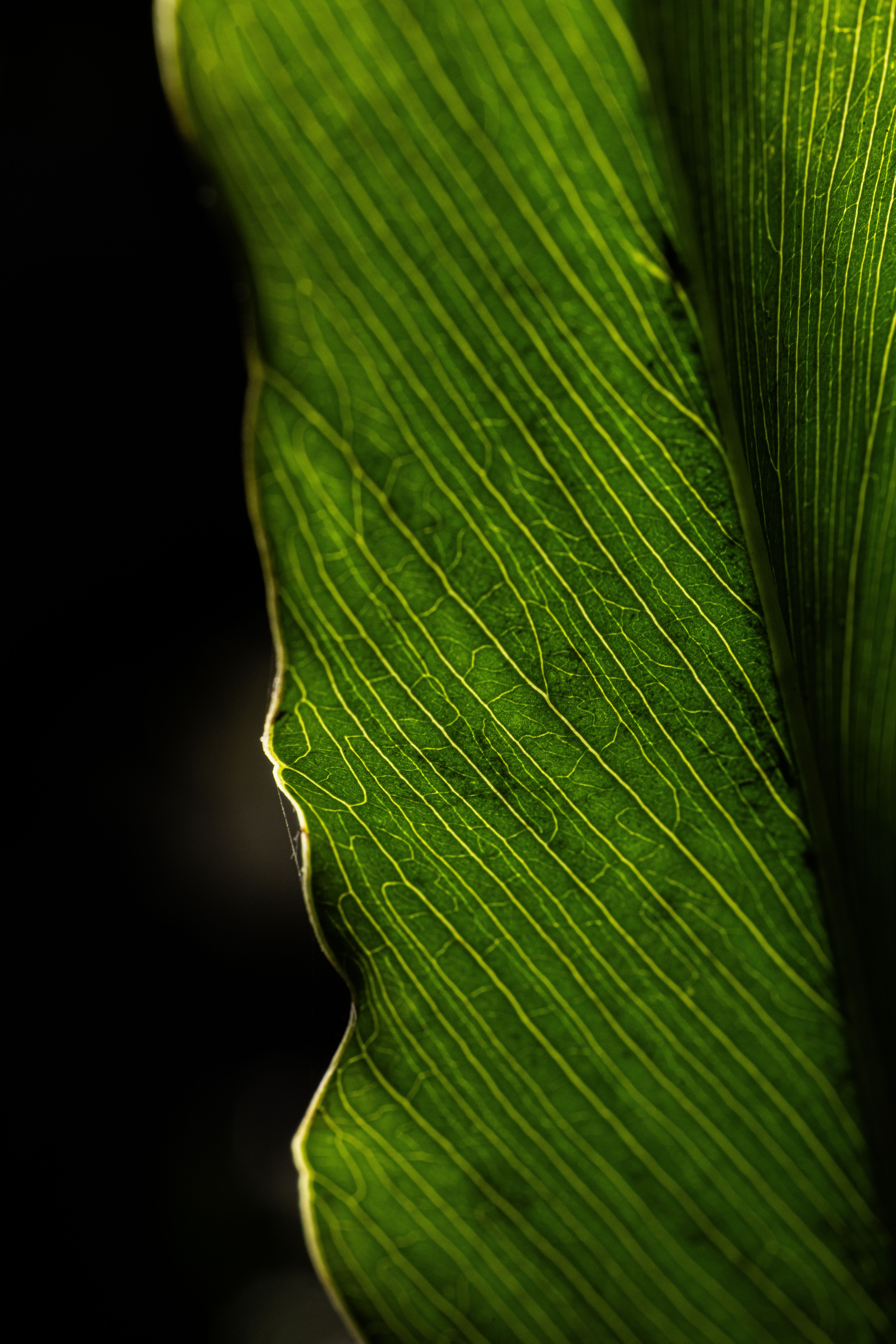 Photo by Amar  Preciado on pexels