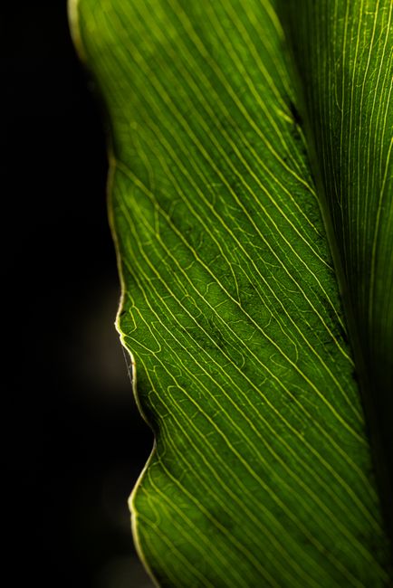 Photo by Amar Preciado on pexels