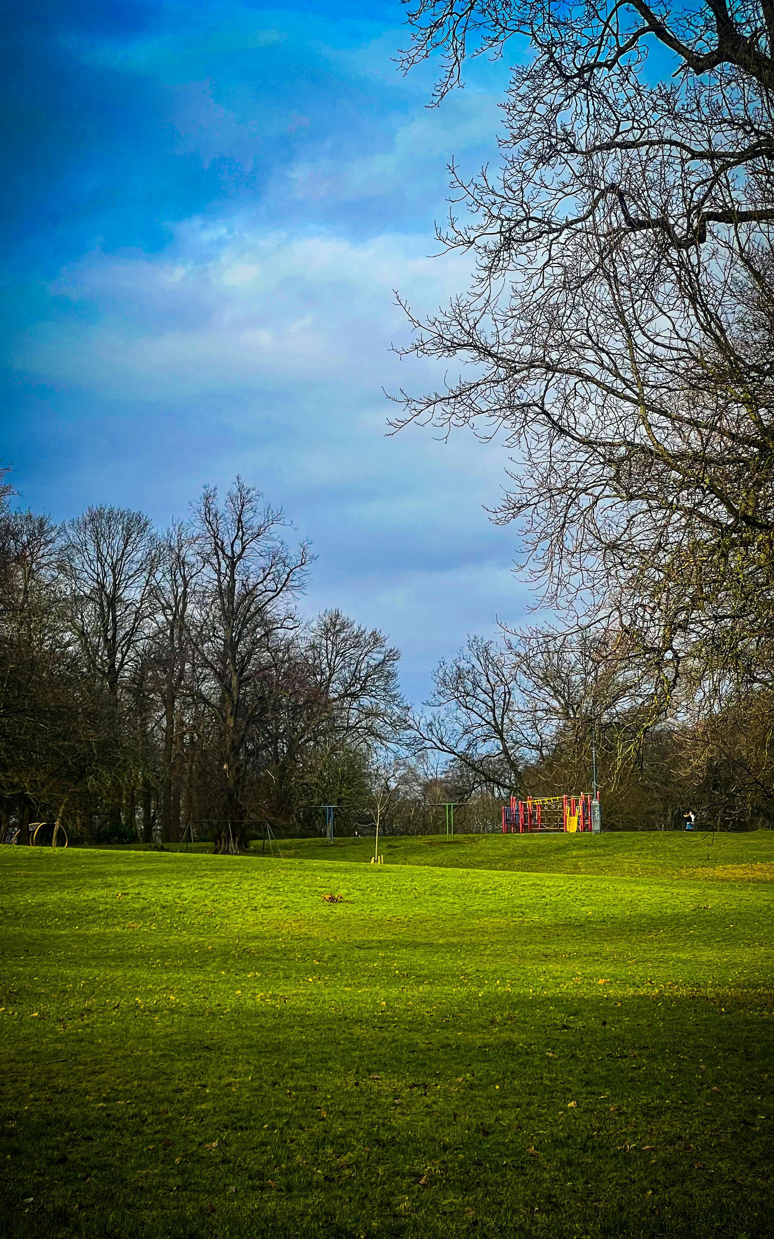 Kedarkantha Tour Package: 5-Day Trek Escape