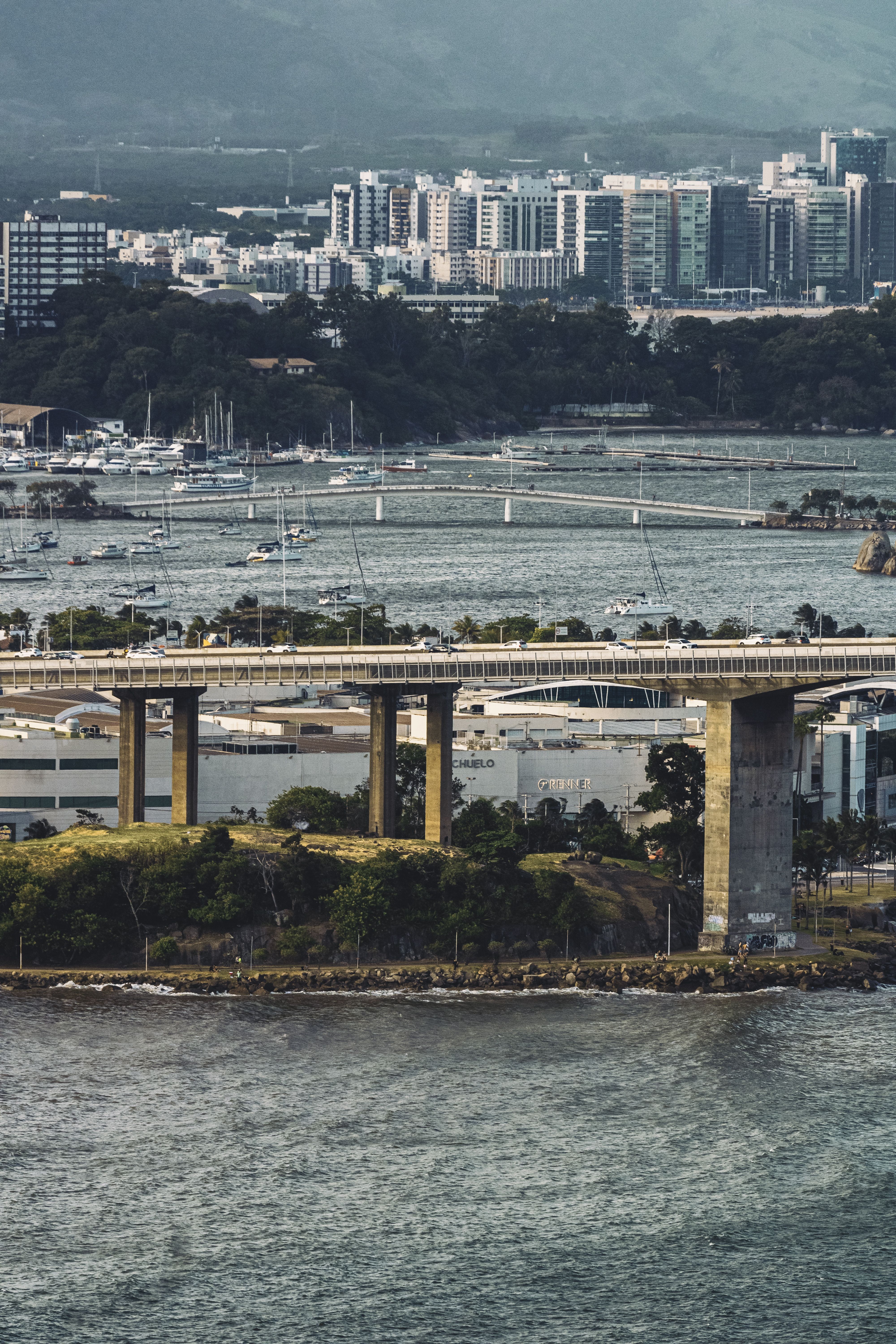 Urban Bridge Over Scenic Waterfront Cityscape · Free Stock Photo