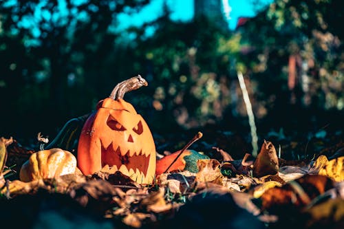 Jack-O'-Lantern on Ground