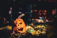 地面上雕刻着怪异的南瓜，四周环绕着秋叶，非常适合万圣节主题