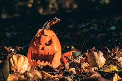 Jack-o'-lantern on Ground