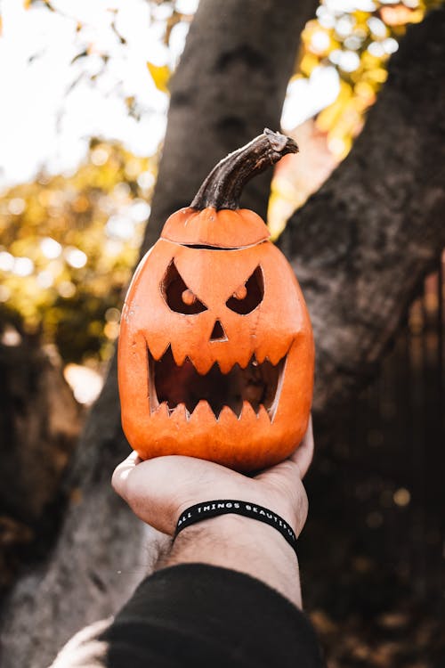 Photo of Jack-O'-Lantern on Person's Hand