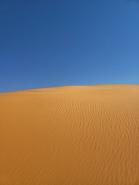 Fotomural Amplio paisaje desértico con dunas de arena dorada bajo un cielo azul claro, mostrando la belleza natural.