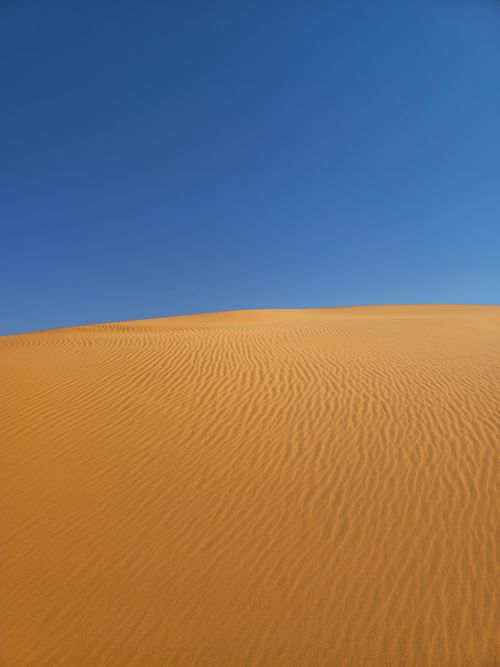 Free Vast desert landscape with golden sand dunes under a clear blue sky, showcasing natural beauty. Stock Photo