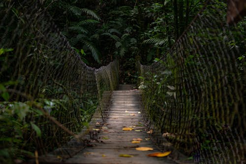 免费 空木桥的照片 素材图片