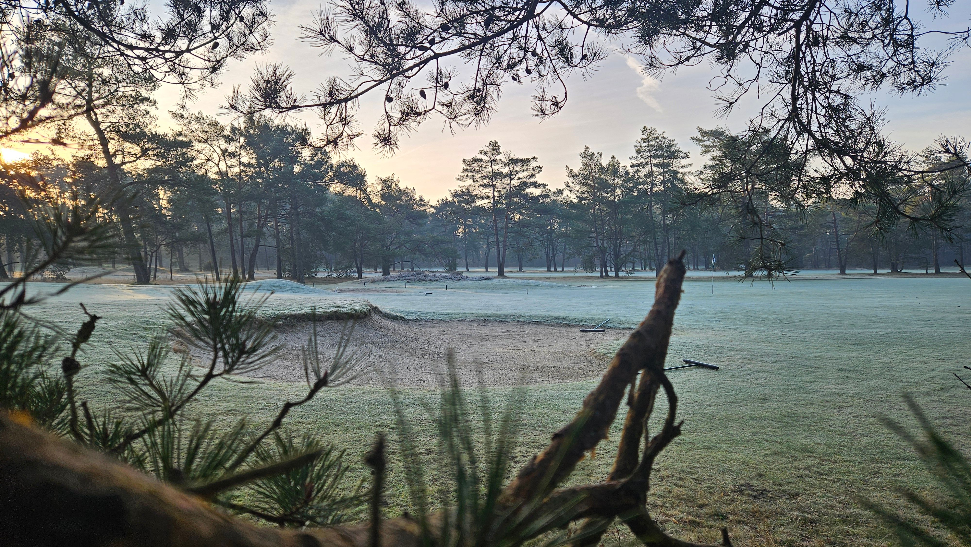 Swinley Forest