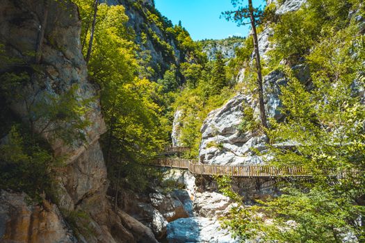 Scenic view of a wooden walkway through a lush green canyon in Kastamonu, Türkiye.