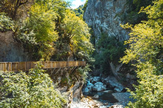 Explore the lush natural beauty of Kastamonu with this scenic canyon and wooden walkway, perfect for adventure enthusiasts.