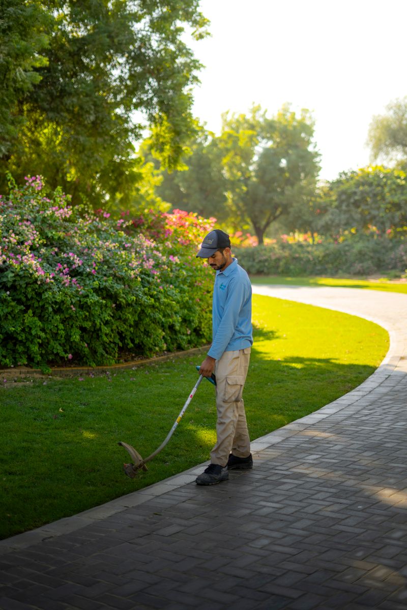 Landscaper trimming a lawn in a sunny park