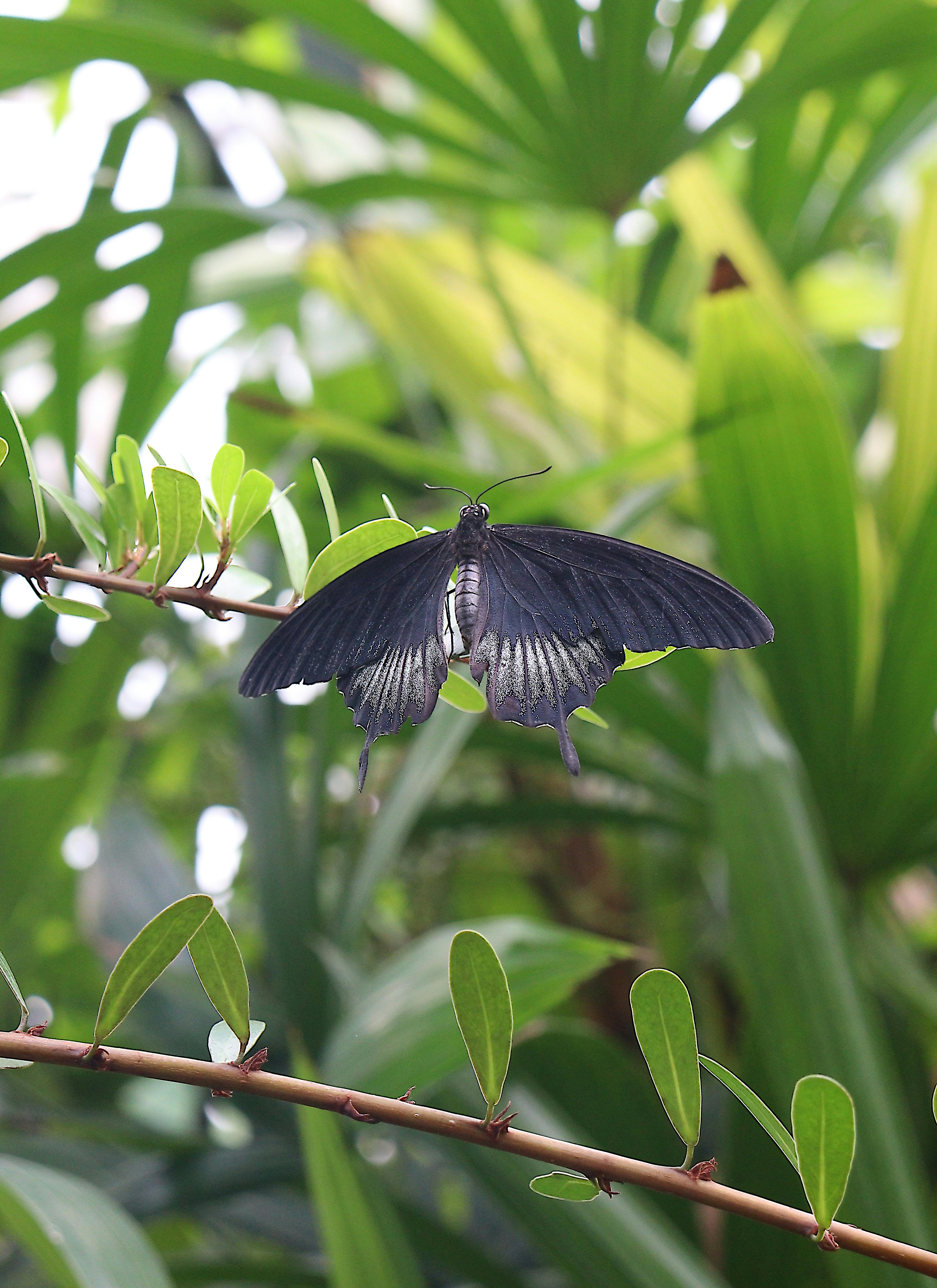 Filmyfly+Pics Photos, Download The BEST Free Filmyfly+Pics Stock Photos
