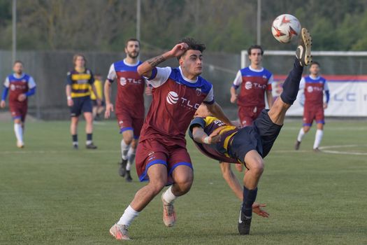 Action-packed moment during a soccer match with players showing skill and agility.