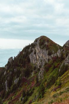 Stunning view of a lush green mountain peak in Rize, Turkey, showcasing vibrant foliage.