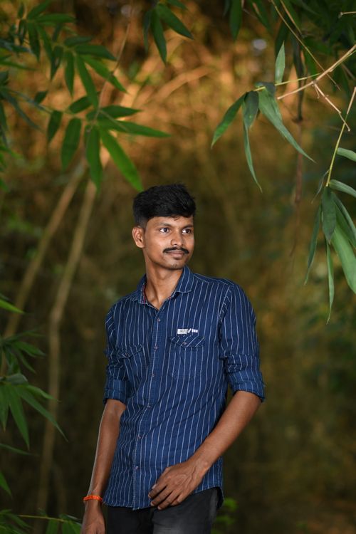 Free Young man standing in a serene bamboo forest, wearing a striped shirt and looking away. Stock Photo