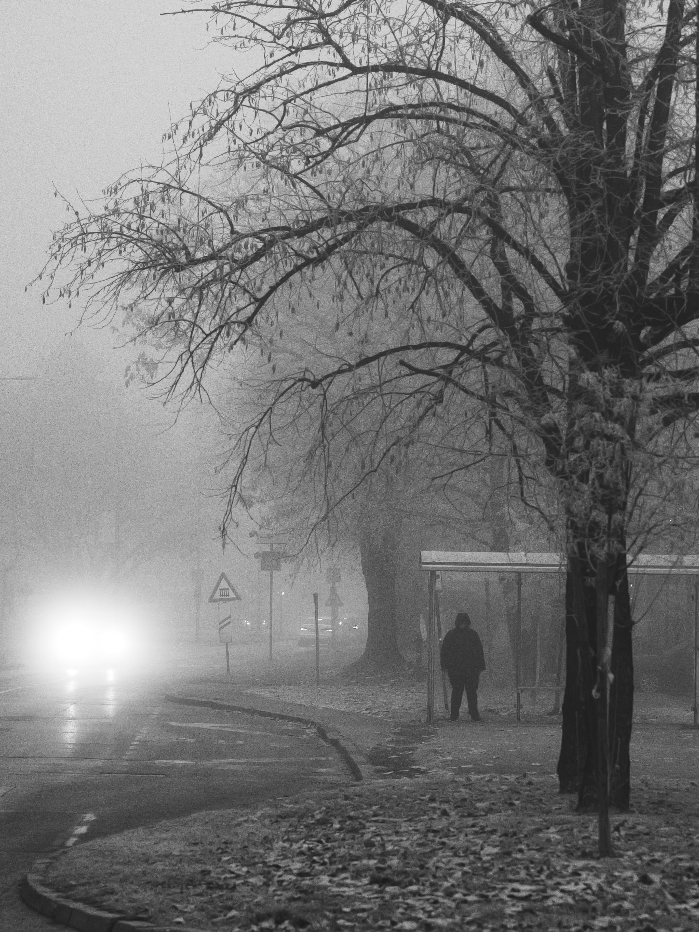 Zamrzla na autobusovej zastávke: Tragický osud Haiťanky, ktorú imigračný úrad prepustil do mrazu