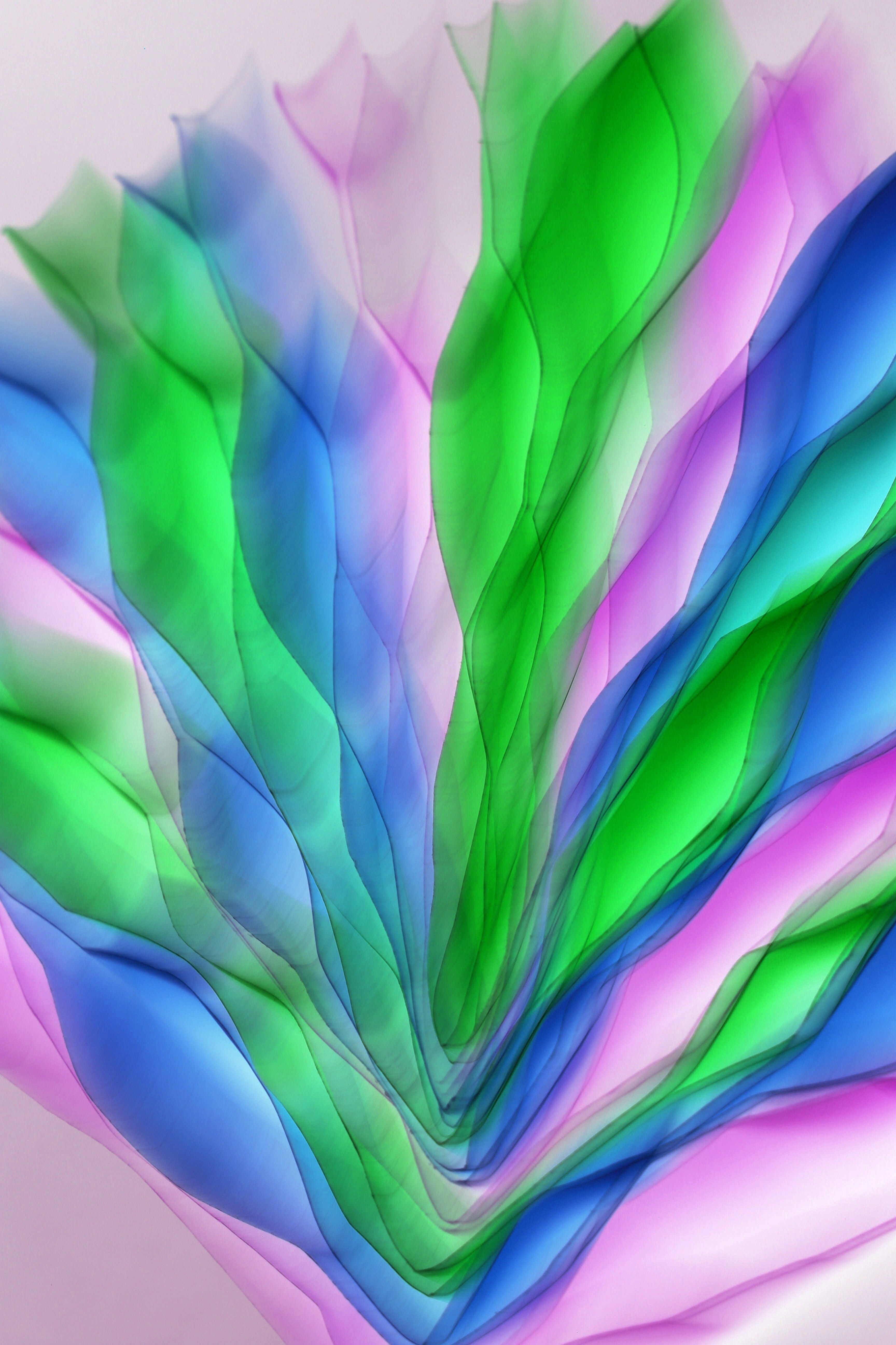 Colorful Abstract Art with Flowing Shapes · Free Stock Photo
