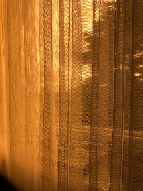 Free Warm sunlight creates a soft glow through a delicately patterned sheer curtain. Stock Photo