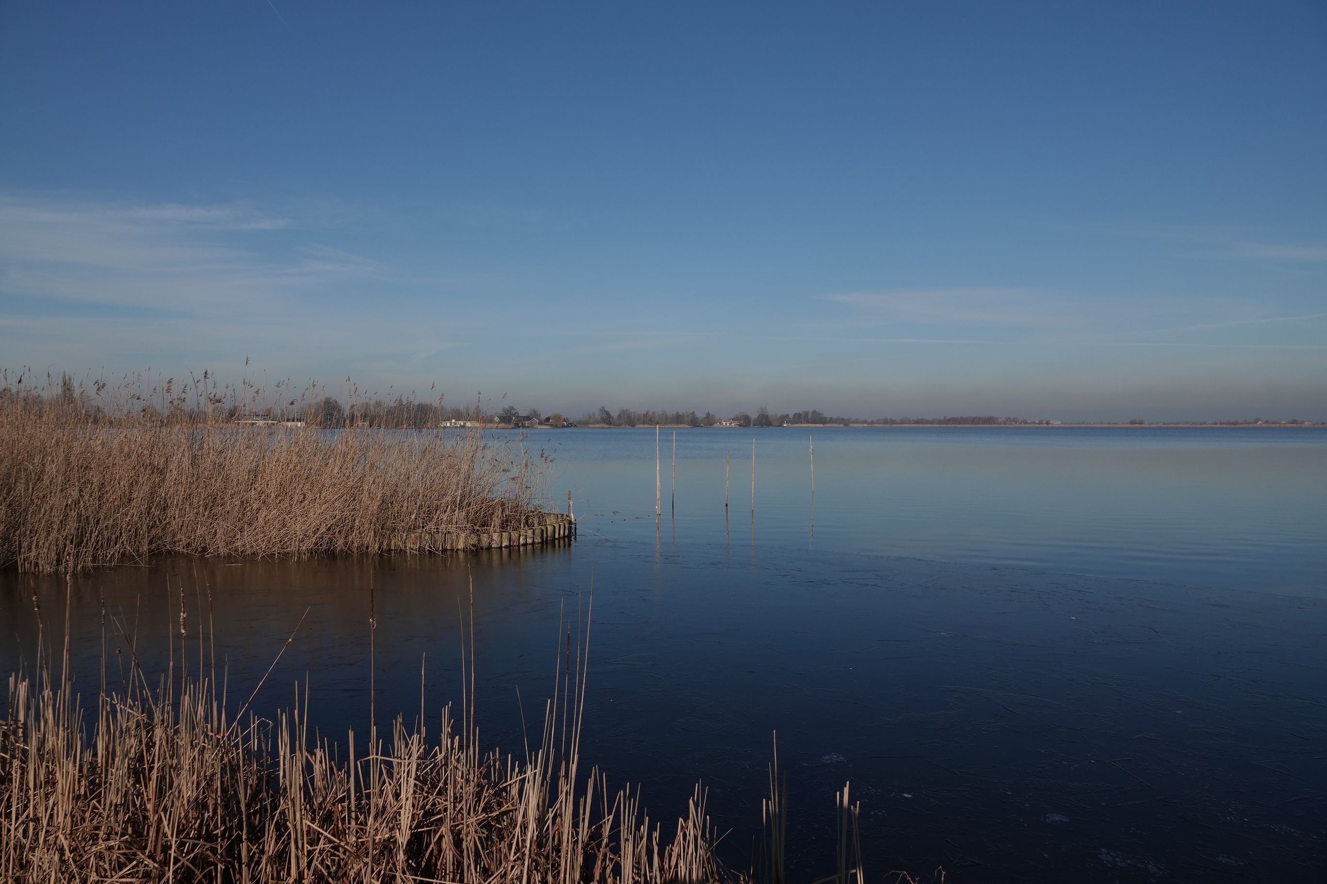 Serene Winter Landscape at Reeuwijk Lakes · Free Stock Photo