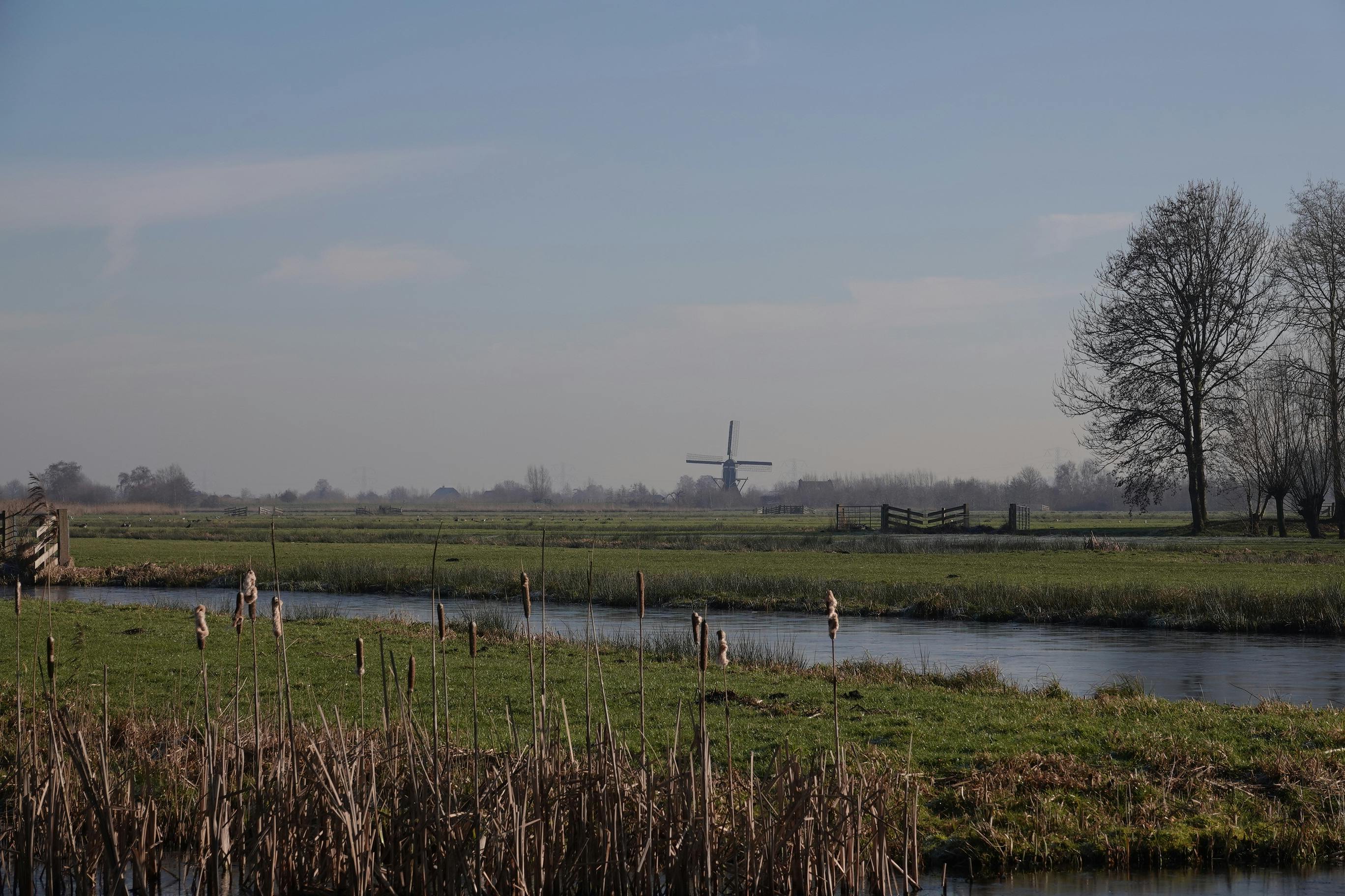 Voorofsche Polder