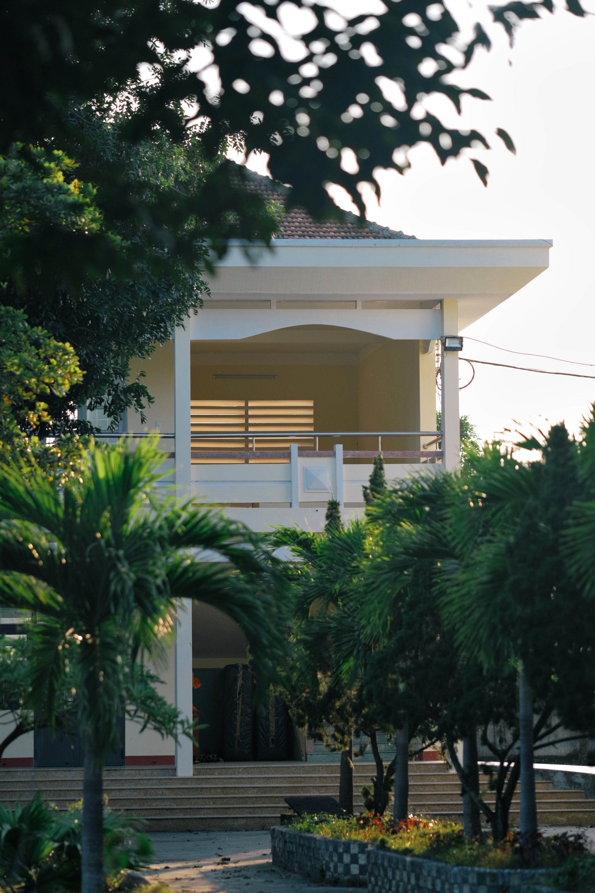 Modern Tropical House Surrounded by Lush Greenery · Free Stock Photo