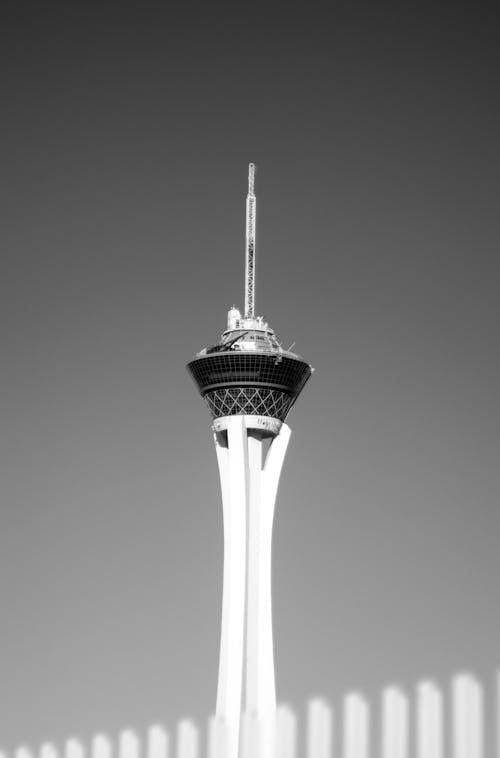 Monochrome Photo of Tower