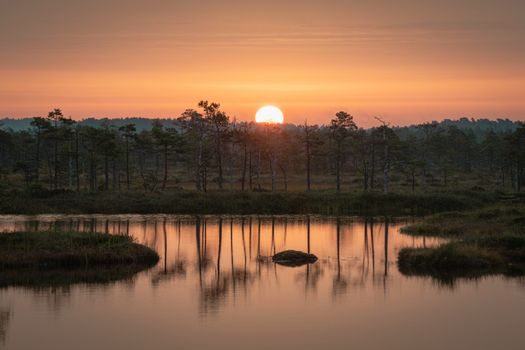 Breathtaking sunrise reflecting over a tranquil forested lake, perfect serene nature scene.