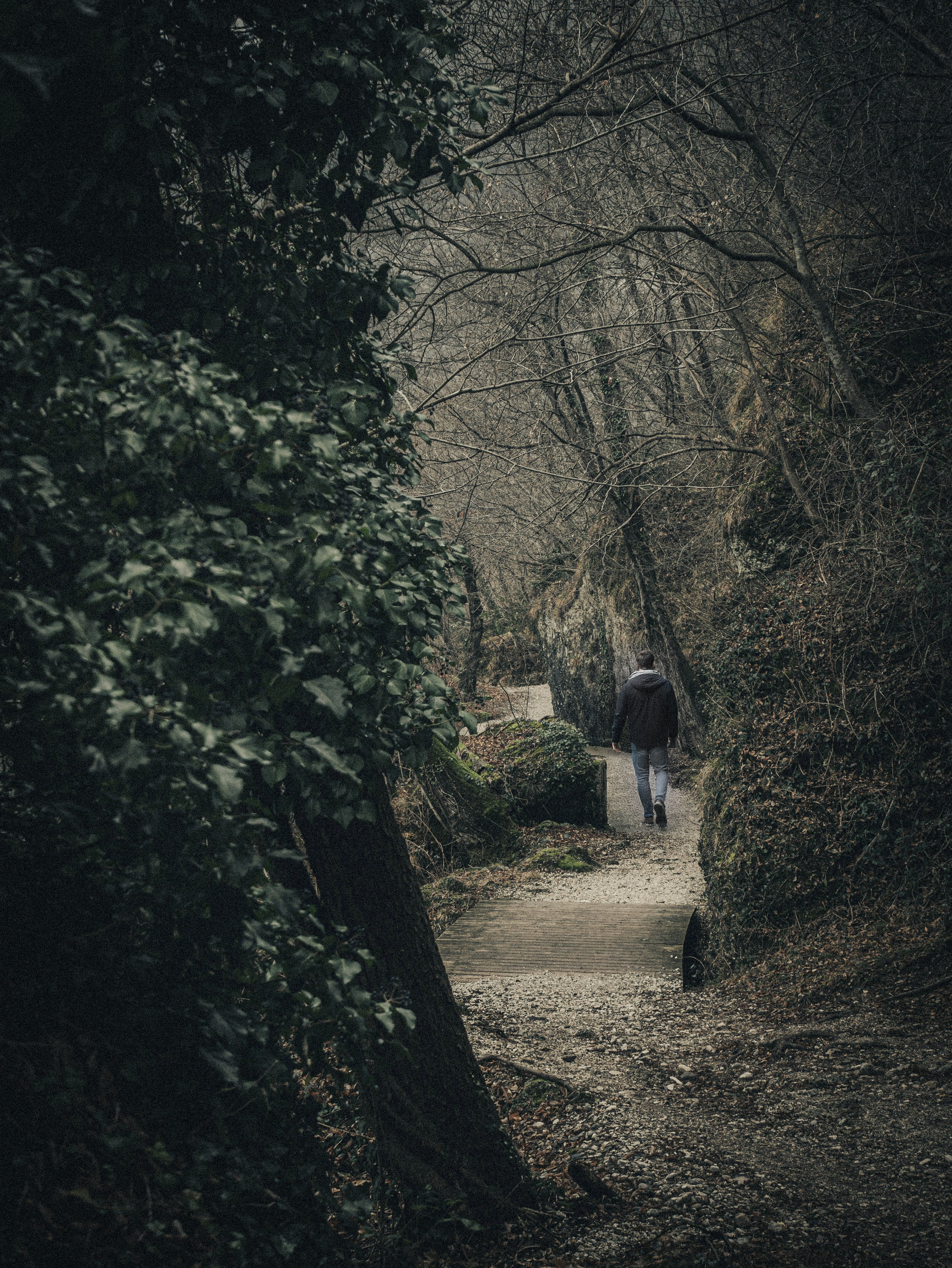 A lone person walks along a misty forest trail in Italy, creating a serene and contemplative mood.