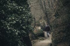 A lone person walks along a misty forest trail in Italy, creating a serene and contemplative mood.