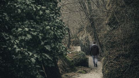 A lone person walks along a misty forest trail in Italy, creating a serene and contemplative mood.