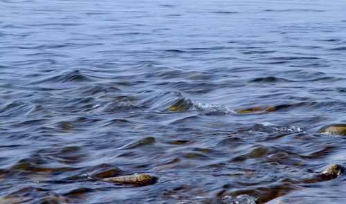 Free Close-up of a serene lake surface with gentle ripples over visible stones. Stock Photo