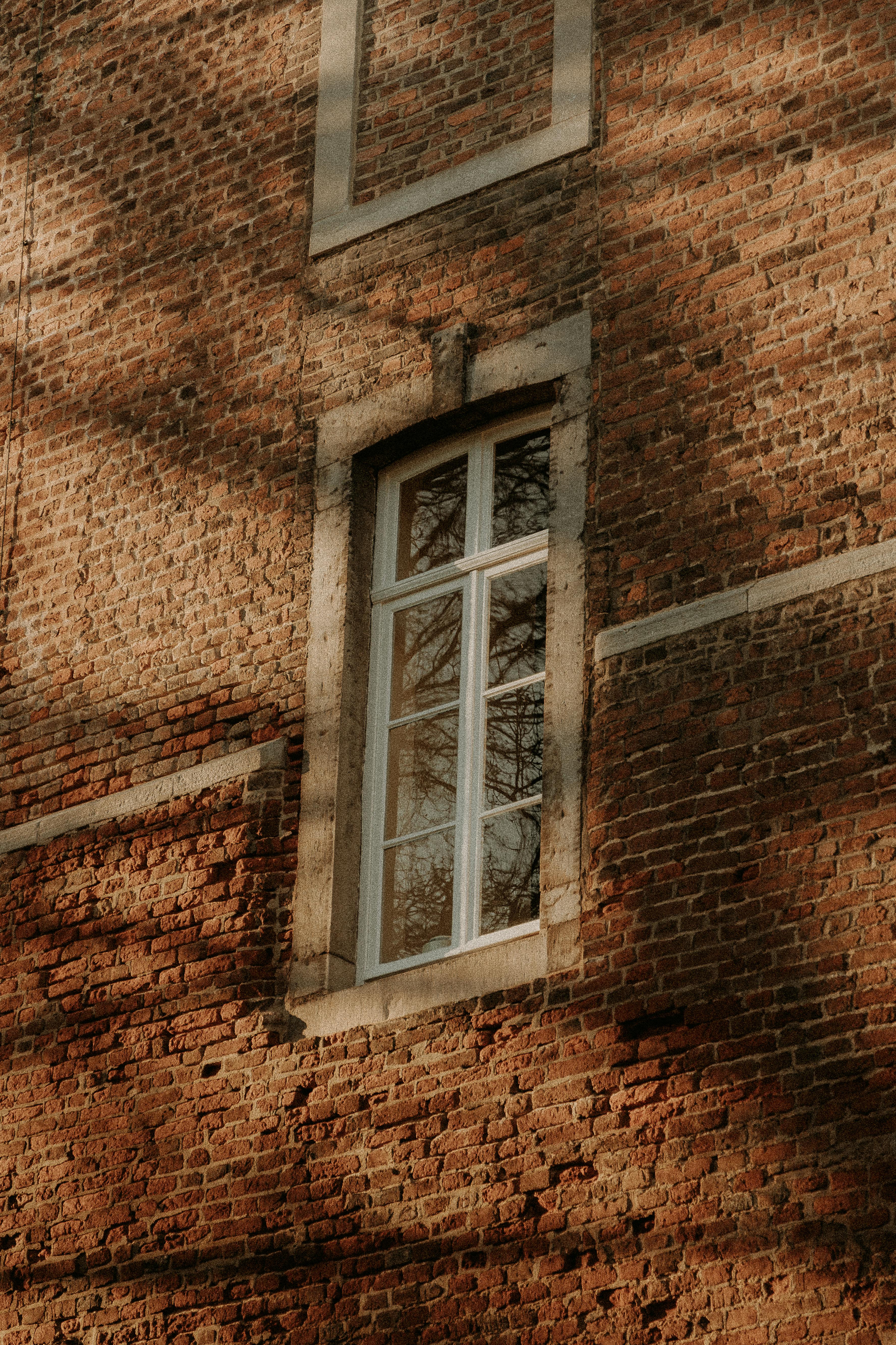 Vintage-style brick wall featuring a single classic window reflecting nature's beauty.