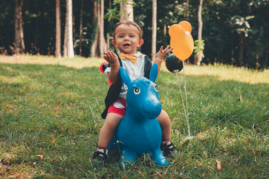 Little Boy Riding Blue Pony Toy Ride