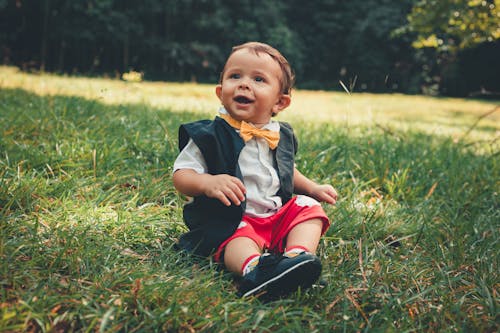 Little Boy Sitting on the Grass