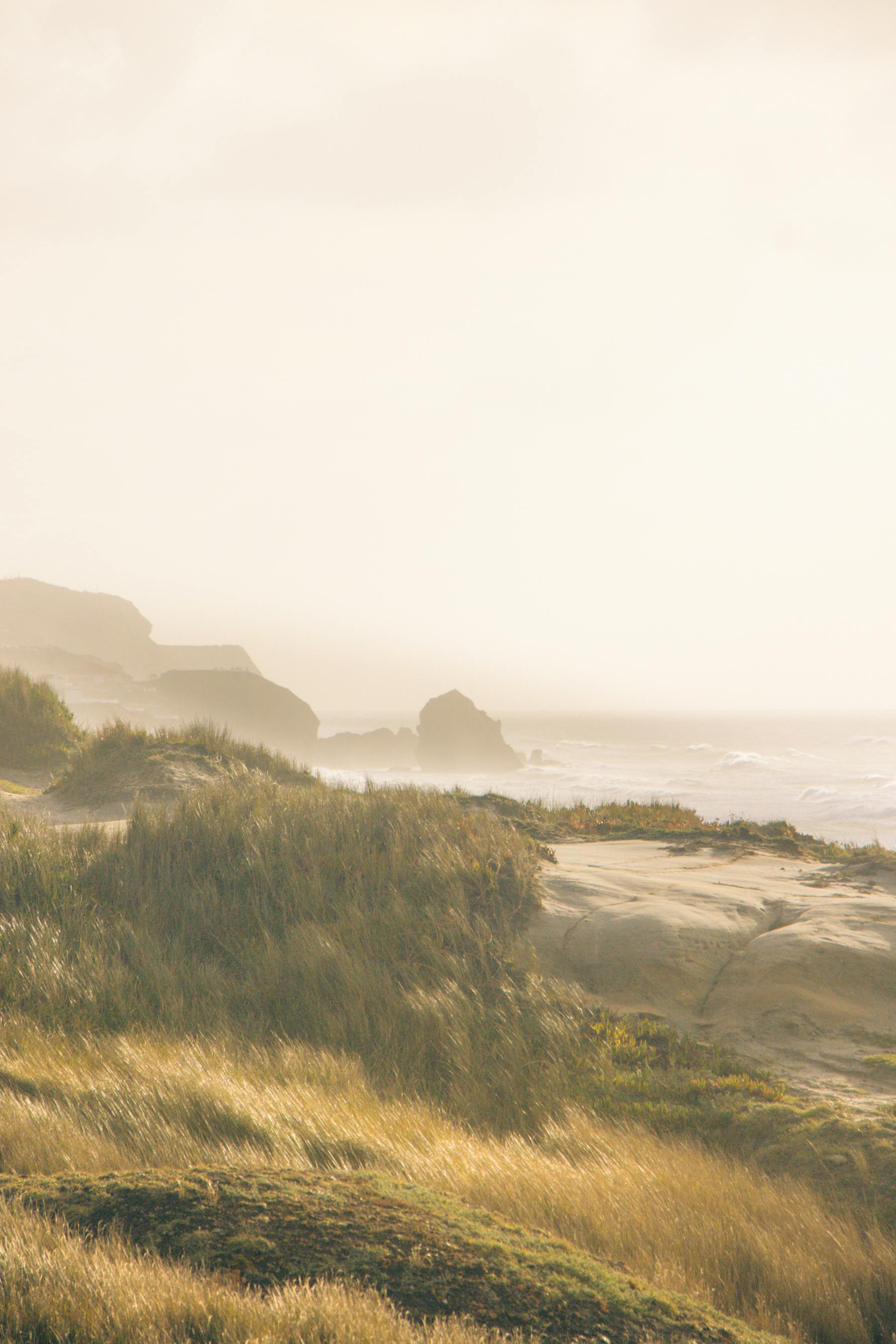 serene coastal landscape with misty cliffs