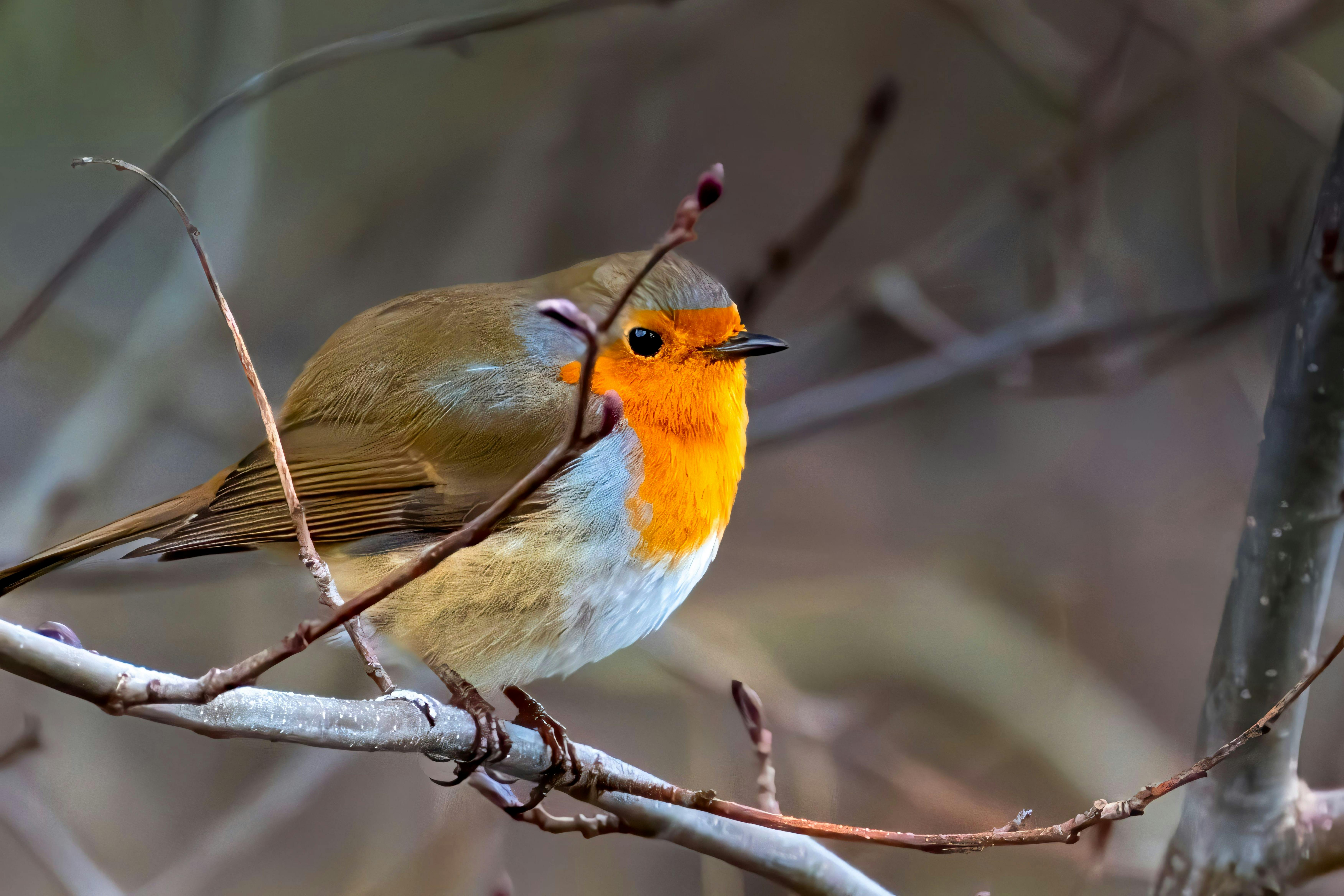 Fan Reactions: How The Simpsons Departure from Channel 4 Is Shaking Up the UK Animation Scene