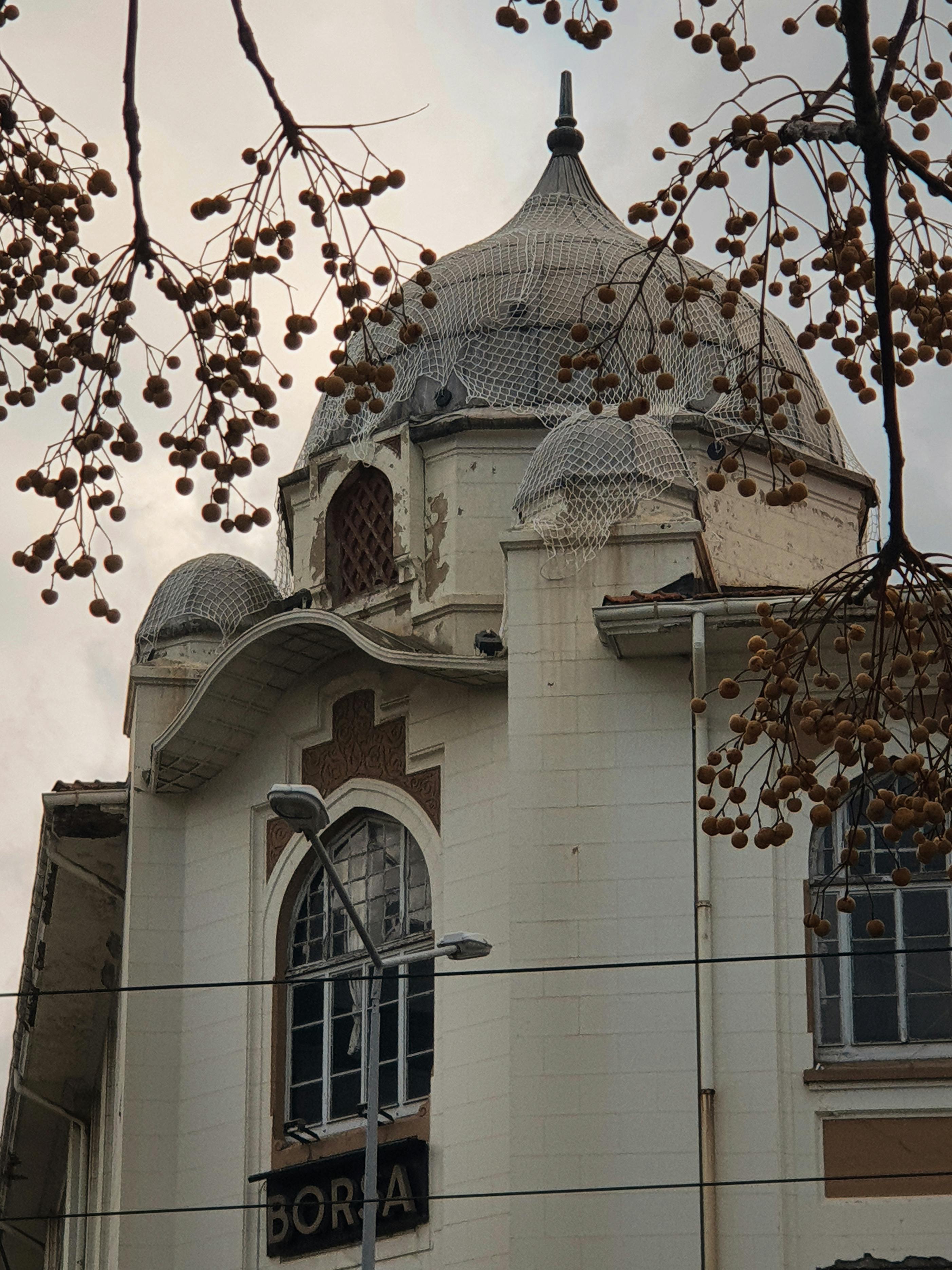 Beautiful historic building with ornate dome architecture surrounded by autumn branches in Izmir.