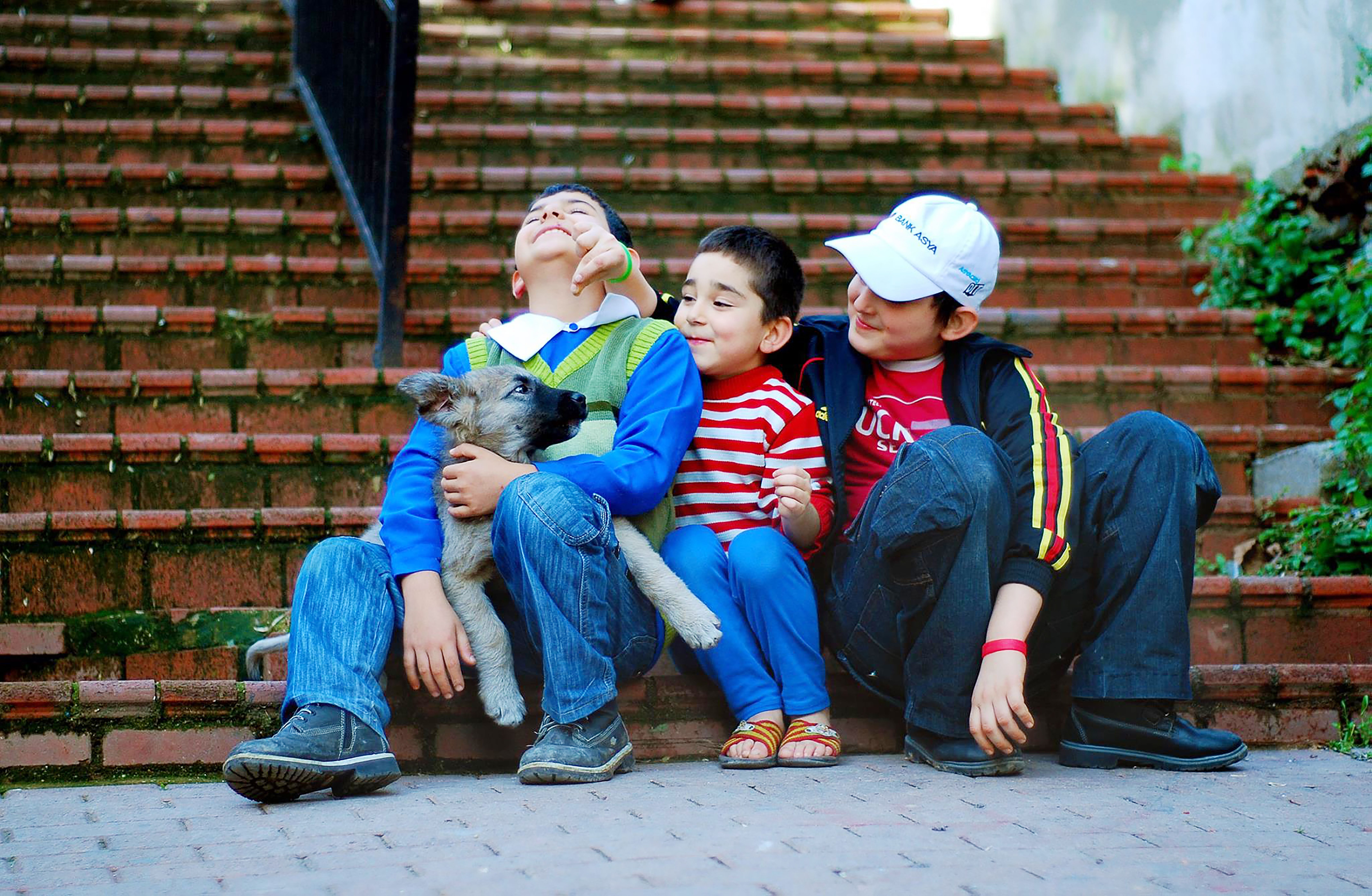 Three happy children sit on steps playing with a small puppy outdoors.