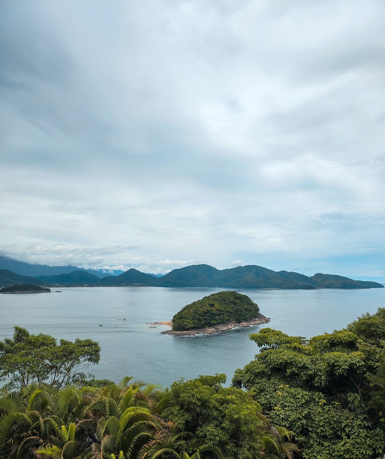Scenic Island View with Lush Greenery and Ocean · Free Stock Photo