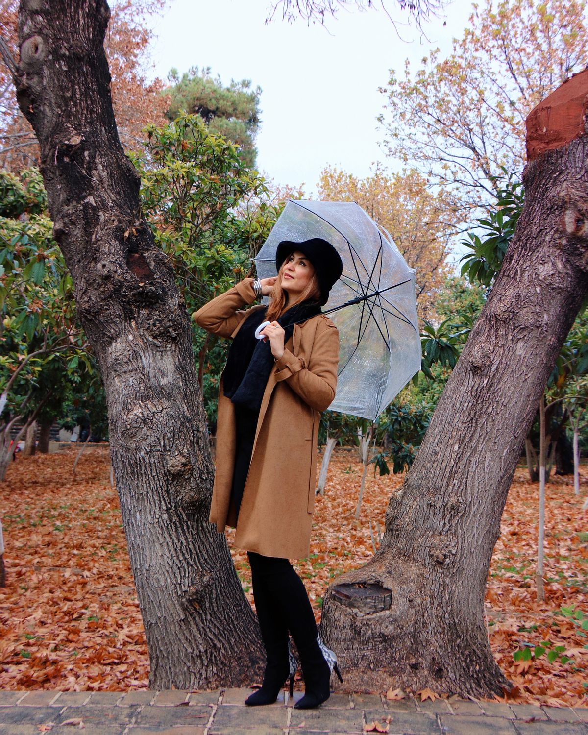 Woman holding a transparent umbrella in a park surrounded by autumn leaves.
