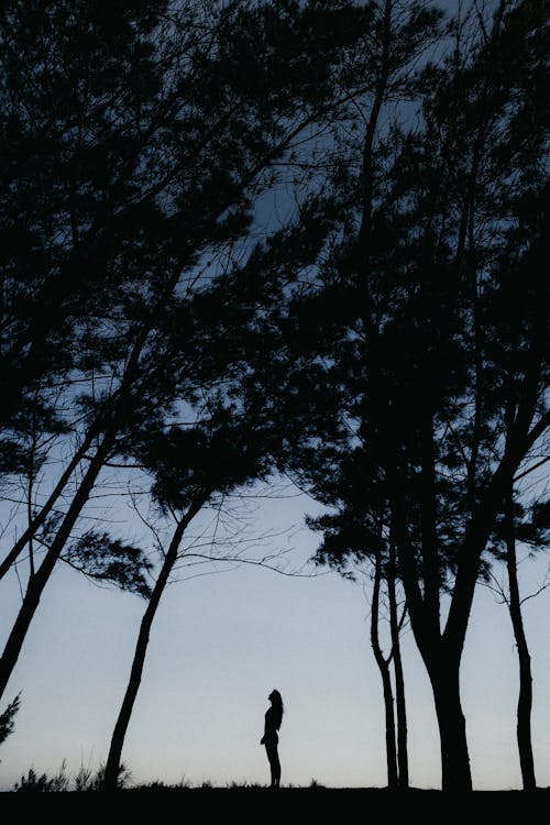 Silhouette Photography of Person Standing Outdoors