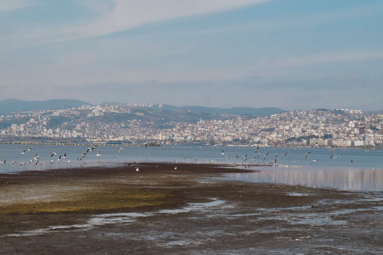 Viaje en solitario por Fatih