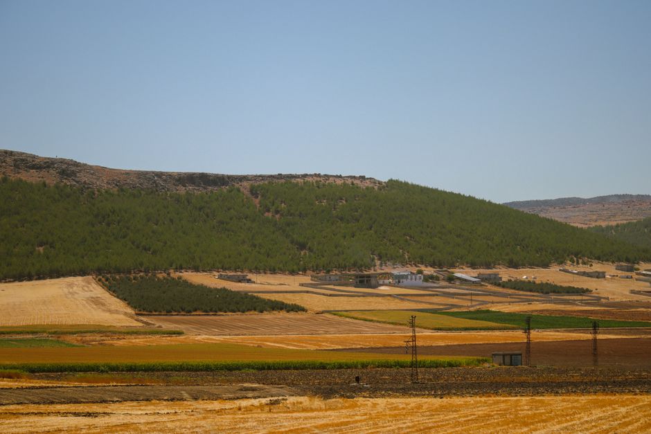 A panoramic view of a rural landscape featuring golden fields, lush greenery, and distant hills under a clear sky.