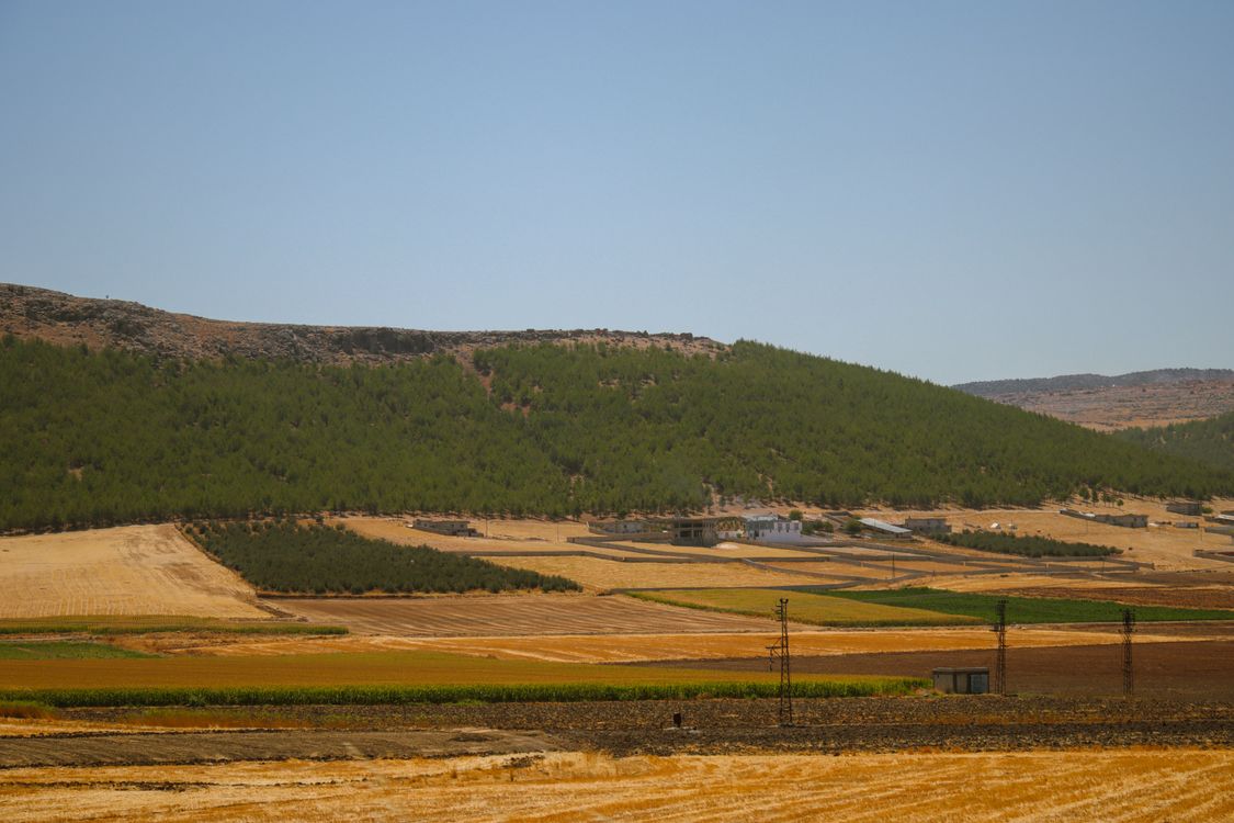 Vast Rural Landscape with Rolling Hills and Fields · Free Stock Photo