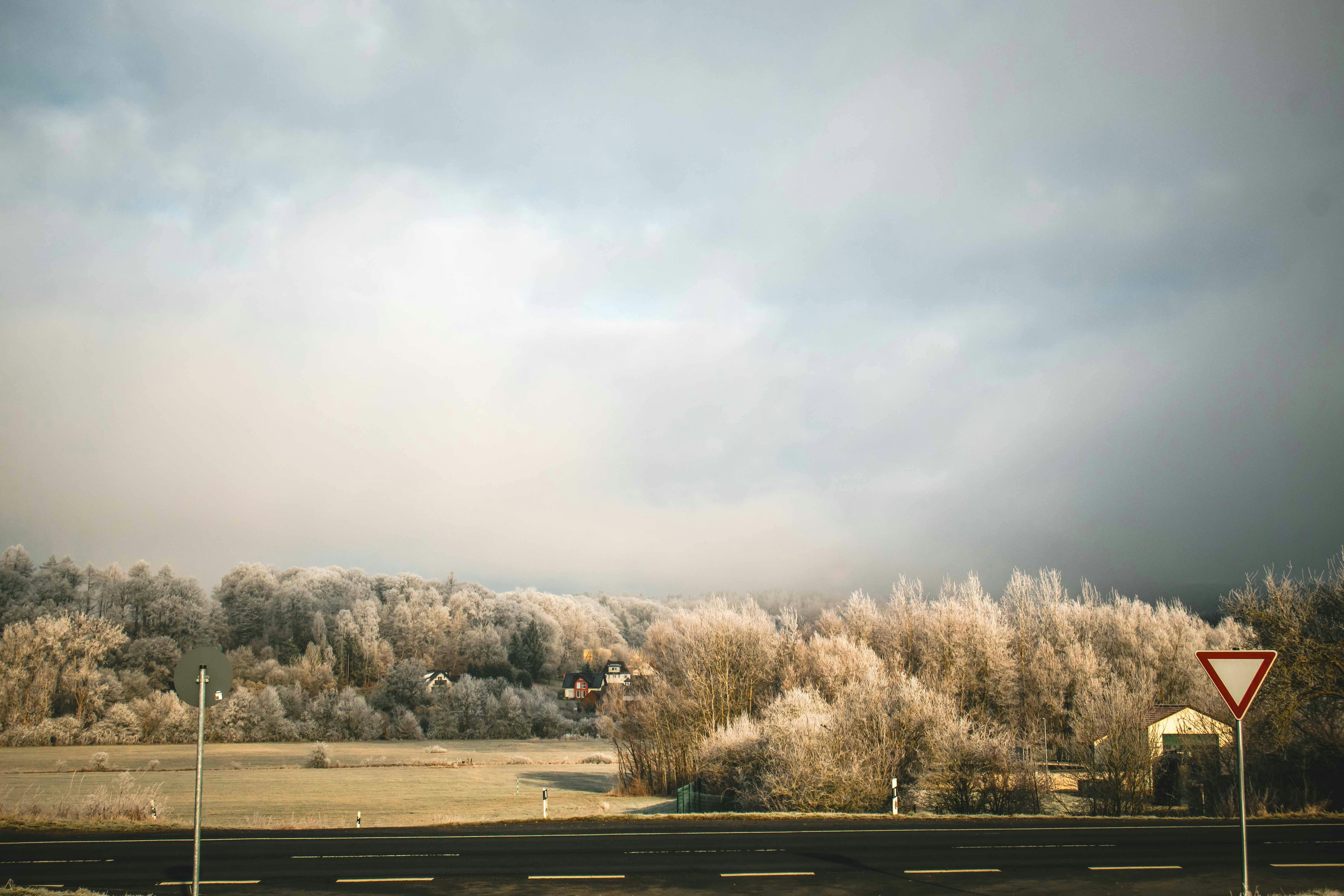 Uncover Hidden Traffic Strategies Top Influencers Are Using