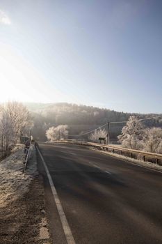 A peaceful road amidst frosted trees on a clear winter day.